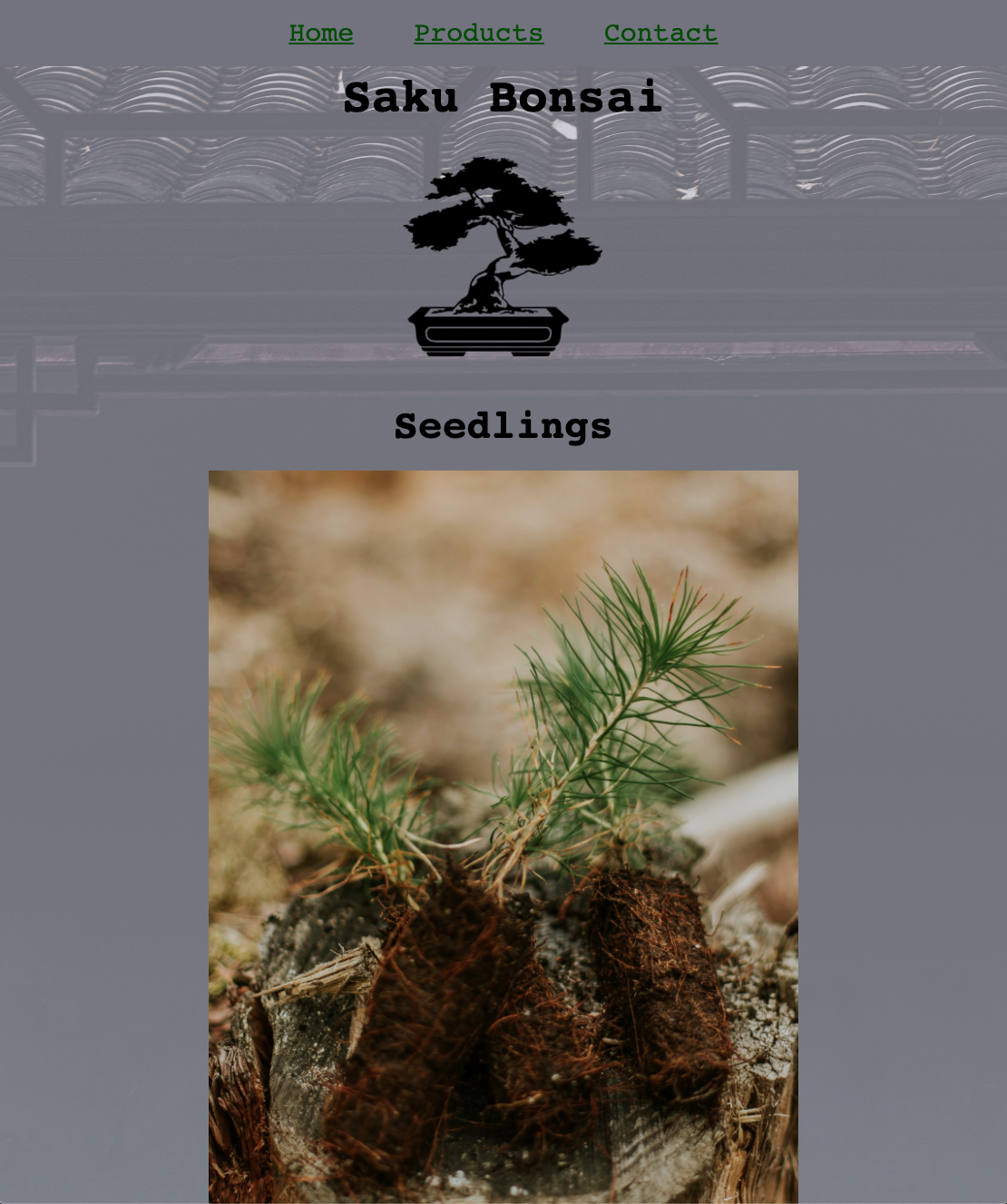 Saku Bonsai product landing page site with black and white icon and seedling picture